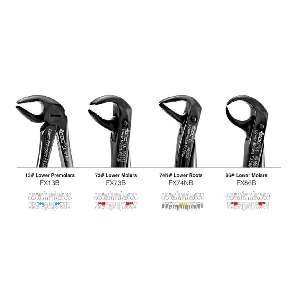 Dental Extraction Forceps Set